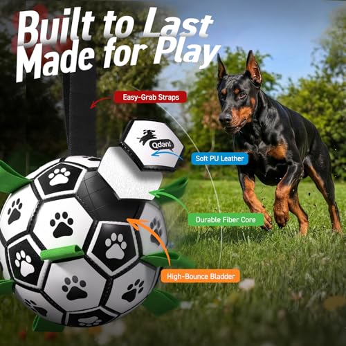 Image of QDAN 10 Inch Gaint Dog Soccer Ball with Straps, Durable Large Dogs Balls | Outdoor Big Dog Toys, Herding Balls for Large Dogs, Puppy Toy for >100 lbs Dogs, Interactive Training Soccer, Pool Water Toy