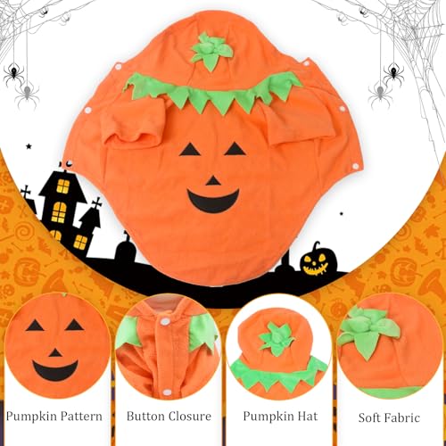 Halloween-Kürbis-Kostüm für Hunde und Katzen, lustige Haustierkleidung, für kleine Hunde, Katzen, Welpen, Größe XL