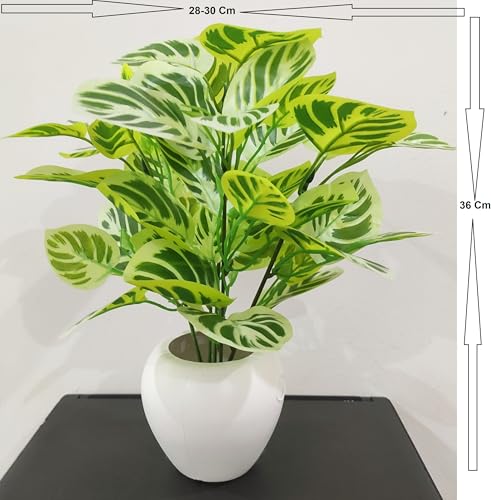 Image of Natural Looking Artificial Money Plant /Tree with Pot | Ornamental Plant for Interior Decor | Home /Shop /Office Decor (Yellow-Green)
