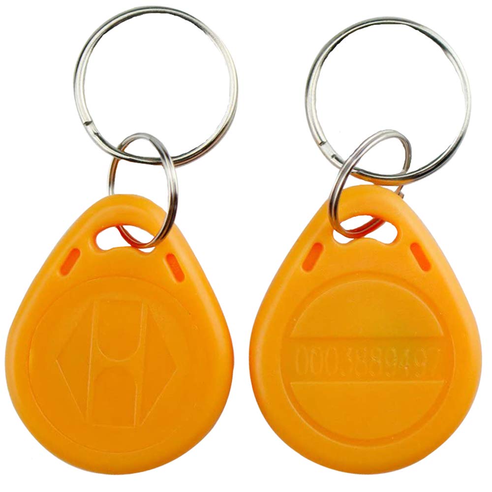 Llavero RFID 125 KHz Tarjeta EM-ID Control Acceso Puerta Solo Lectura Paquete 10