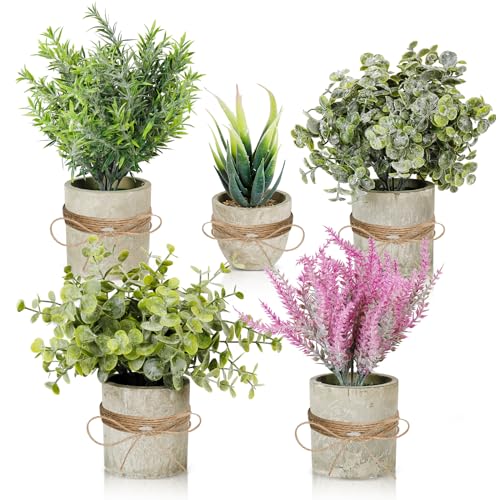 Cinnani 5 Piezas Plantas Artificiales Decorativas en Maceta, Hierba Suculenta de Arbustos de Imitación, Flor Falsa, Pequeña Planta Exterior Interior, Ideales para la Decoración