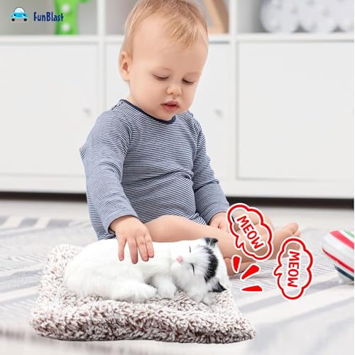 Image of FunBlast Cute Sleeping Cat Plush Toy with Meow Sound, Gift for Kids, Toy Accessories for Car Dashboard (White)