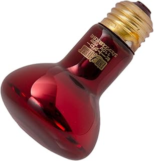 バスキングランプ（半陸棲ガメ）