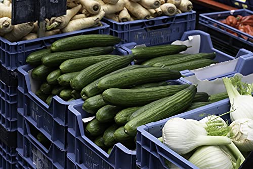 HaGa Lagerkiste 59x39,5x11 cm | schwarz | 10kg – Obstkiste und Gemüsekiste stapelbar aus Kunststoff – Apfelkiste, Aufbewahrungsbox, Plastikkorb, Lagerbox für Obst & Gemüse