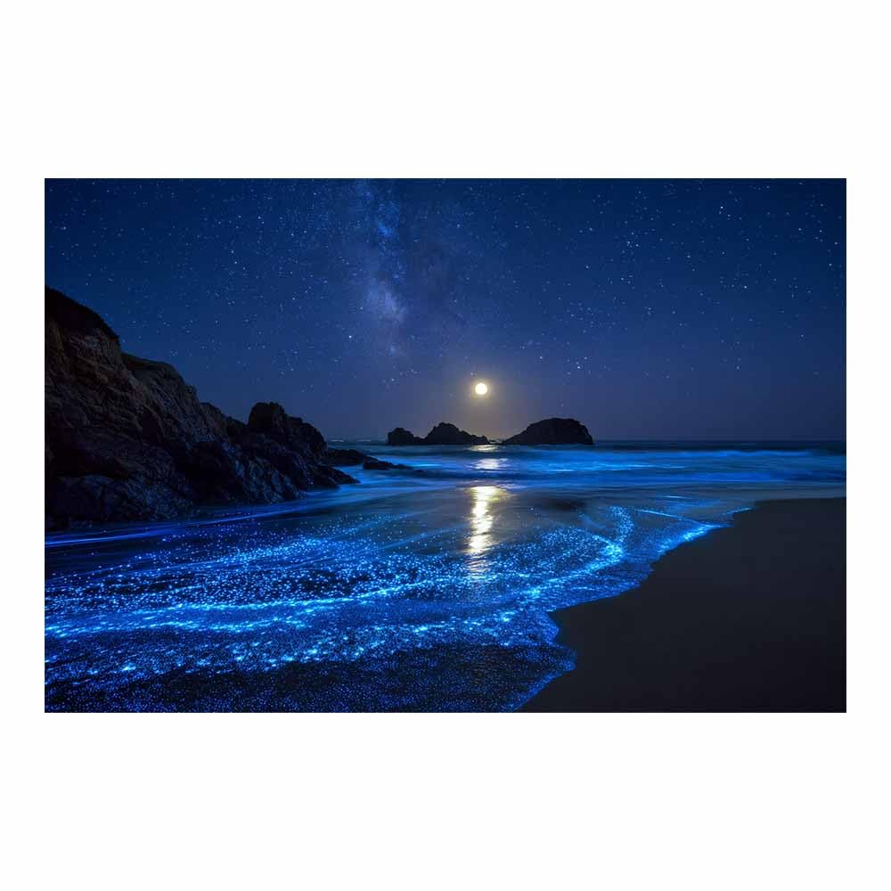 HOQIU Beautiful wall art Moonlit Glowing Shore canvas artwork for wall, art prints, For living room, bedroom, bathroom, dining room, painting and decor.(Multicolor)-60x80cm Unframed