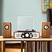 1byone Belt Drive 3 Speed Stereo Turntable with Built in Speakers, Natural Wood