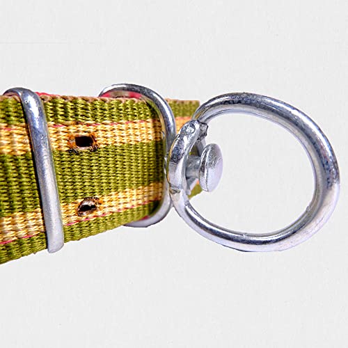Large Dog Collar With Unbreakable Swivel Buckle With Handle | Heavy Duty Shepherd Dog Collar With Iron Buckle| Collar Perro Grande(Green, Large) #TOP4
