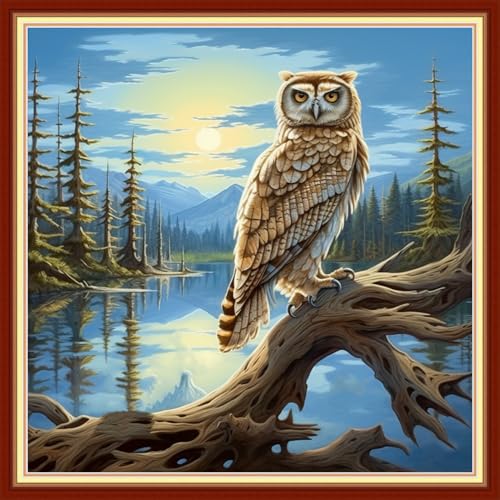 Image of Foxdiviy Stamped Cross Stitch Kits for Beginners Full Range of Cross Stitching 11 CT Printed Cross Stitch Kits for Adults Cross Stitch Patterns Needlepoint Kits-Owl Scenery 18x18 inch