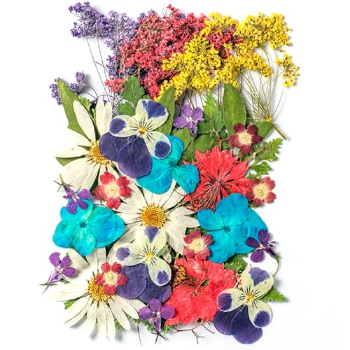35 Pcs Dried Pressed Flowers for Resin Real Pressed Flowers Dry Leaves Bulk Natural Herbs Kit for Scrapbooking Crafts DIY Soap Candles Making Nail Crafts