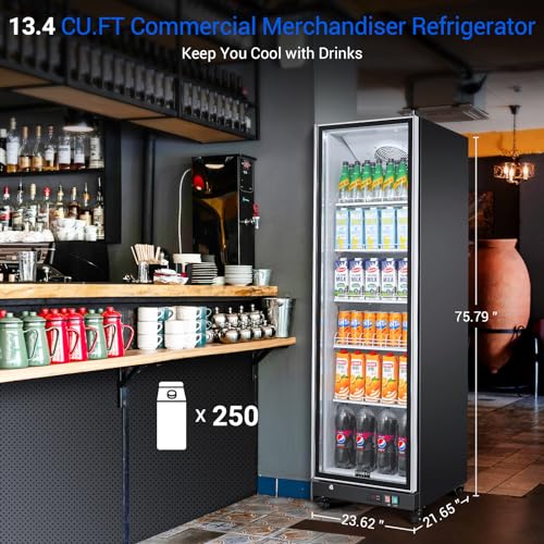 BODEGACOOLER Commercial Beverage Refrigerator with Glass Door,12.5 Cu.Ft Commercial Drink Refrigerator,Upright Large Display Merchandiser Beverage Bar Cooler with Soft LED Light,Adjustable Shelves - Image 4