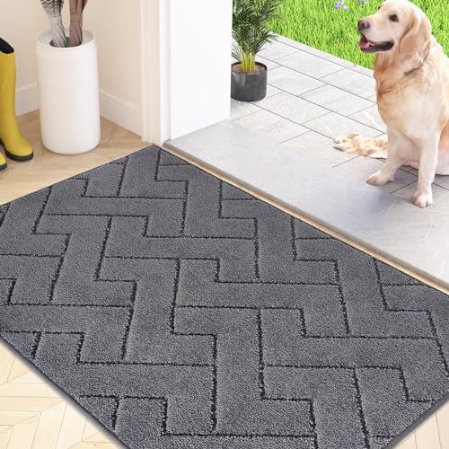 FCSDETAIL Schmutzfangmatte Innen 60 x 90 cm, rutschfeste Fußmatte, waschbar Sauberlaufmatte,...