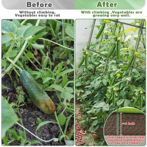 Treillis de concombre en métal pour tuteurer citrouilles et pois - 8