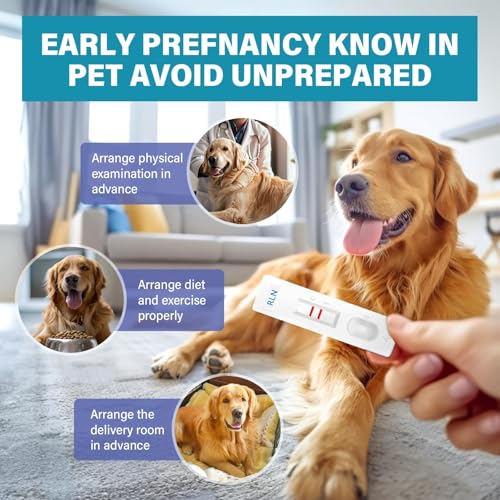 Image of Dog Pregnancy Test Kit, Disposable Pet Early Detection Pregnancy Test at Home, Fast and Convenient Pregnancy Test Strips for Dog & Cat