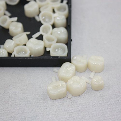 Pwhite Dental Temporary Crown Veneers Material Anterior Front Back Molar Teeth 100pcs