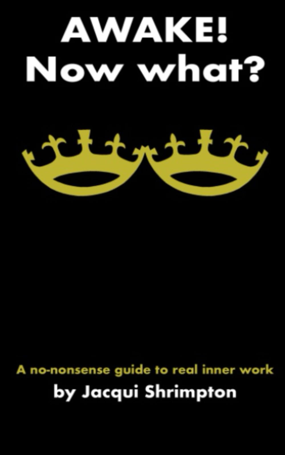 Awake! Now What?: A No-Nonsense Guide to Real Inner Work