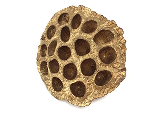 Flor seca de loto dorada artesanal para decoración miniatura 2