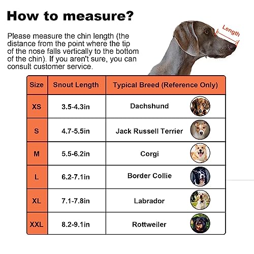 Ohcozzy Soft Mesh Dog Muzzle Won‘t Contact Nose For Small Medium Large Dogs, Allows Panting And Drinking(Xs,Black) #TOP3