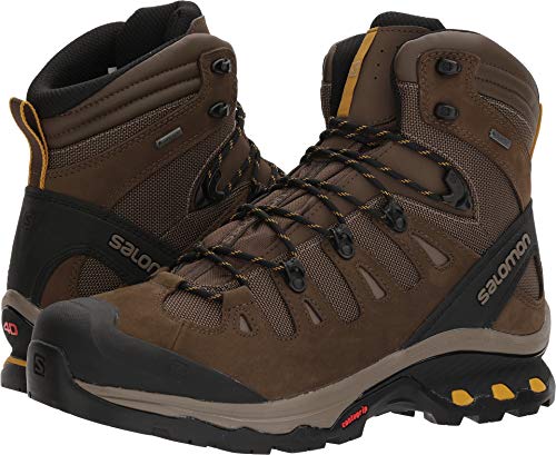 Salomon Men's QUEST 4D 3 GTX Backpacking Boots, Wren/Bungee Cord/Green Sulphur, 11