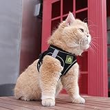 FEimaX Hundegeschirr mit Leine für Kleine Mittele Hunde Katzen Weich Mesh Welpengeschirr Atmungsaktive Brustgeschirr Verstellbare Reflektierend No Pull Weste Chihuahua Katze