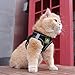 FEimaX Hundegeschirr mit Leine für Kleine Mittele Hunde Katzen Weich Mesh Welpengeschirr Atmungsaktive Brustgeschirr Verstellbare Reflektierend No Pull Weste Chihuahua Katze