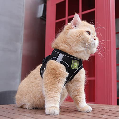 FEimaX Hundegeschirr mit Leine für Kleine Mittele Hunde Katzen Weich Mesh Welpengeschirr Atmungsaktive Brustgeschirr Verstellbare Reflektierend No Pull Weste Chihuahua Katze