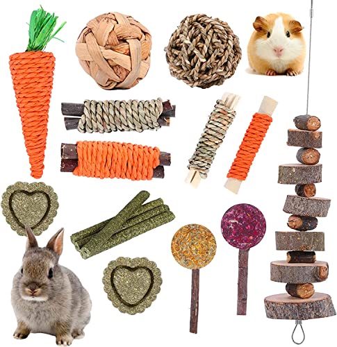 SASONCO Juguetes masticables de conejo, 16 unidades, juguetes de conejito para conejitos de indias, juguetes de heno Timothy natural, juguetes de chinchilla, juguetes para dientes hechos a mano,
