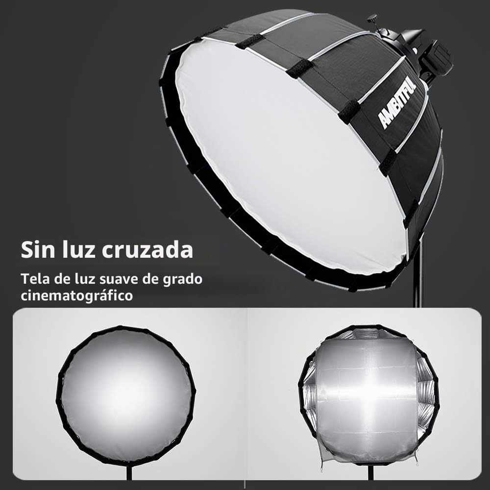 Godox SL-60W CRI 95+ LED Video Light SL60W Continuous Light with Bowens Mount with Remote Control + P60 parabolic Round softbox with Honeycomb Grid, Light Stand