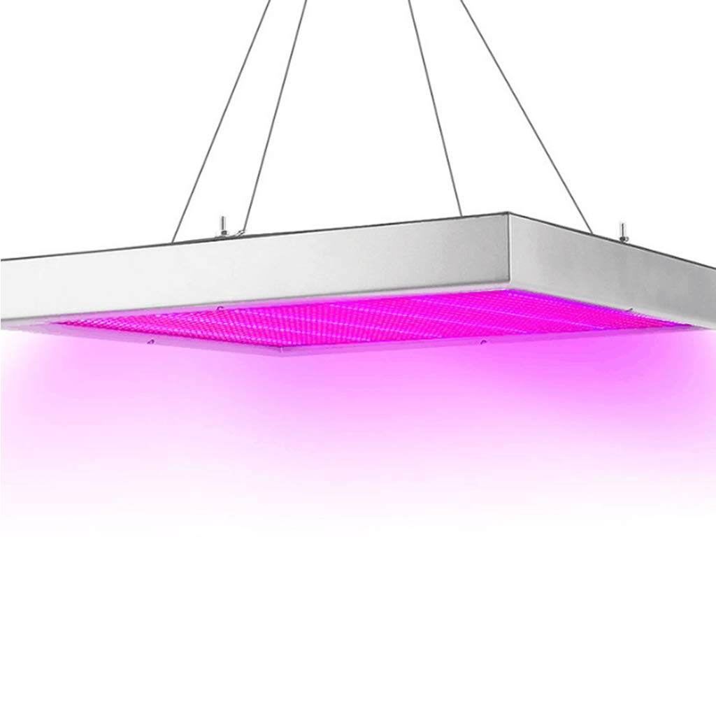 Lumière de croissance des plantes, lumière de remplissage des plantes à LED, 200w, lampe de croissance des plantes d'intérieur, pour la croissance des plantes, spectre complet, lampe de croissance de