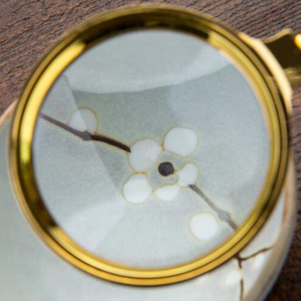 Magnifyiglasses Lenti di ingrandimento Readimagnifier Lente di ingrandimento Portatile Portatile Magnifyiglass 10X ad Alta Definizione Magnifyiglass/D/50Mm