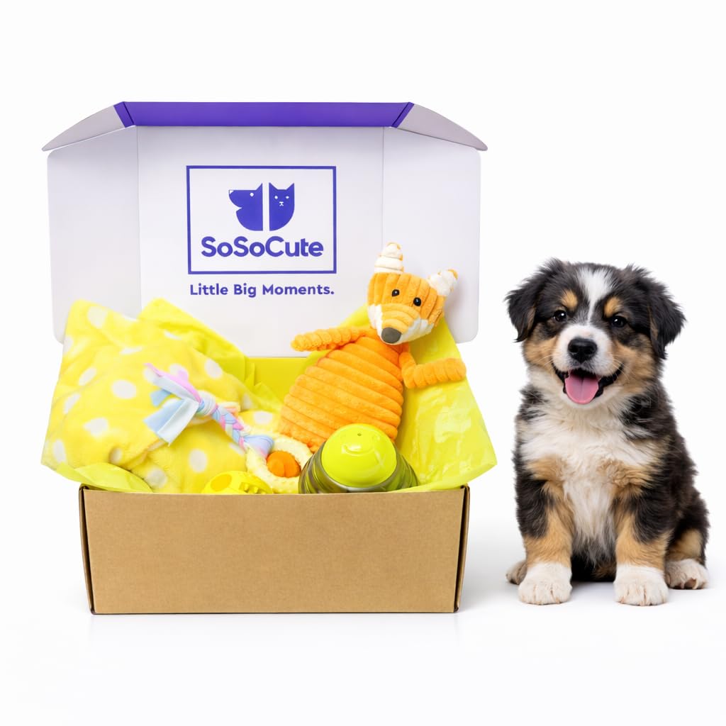 Gelbe Hunde-Geschenkbox – Welpenkauspielzeug Set von 5 Stück – Welpenpflegeset mit Hundedecke, Gummi-Beißring, Zahnball und Leckerli-Ball für kleine und mittelgroße Hunde