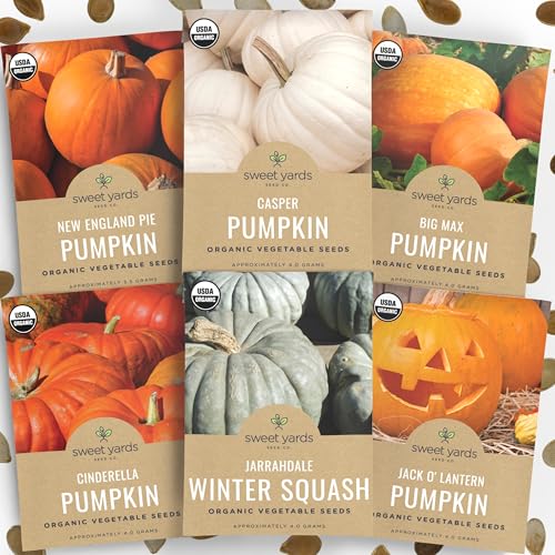 Organic Pumpkin Seeds Variety Pack - 6 Individual Packs - 2026 Season - Jack O Lantern Cinderella Big Max and More! for Indoor & Outdoor Planting (Non-GMO Certified Organic)