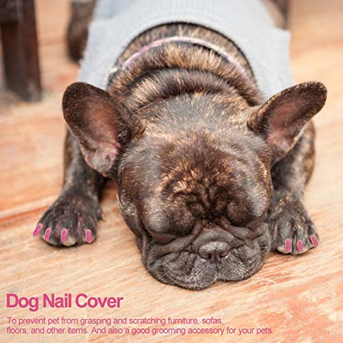 Hffheer Tappi per unghie per cani, 100 tappi