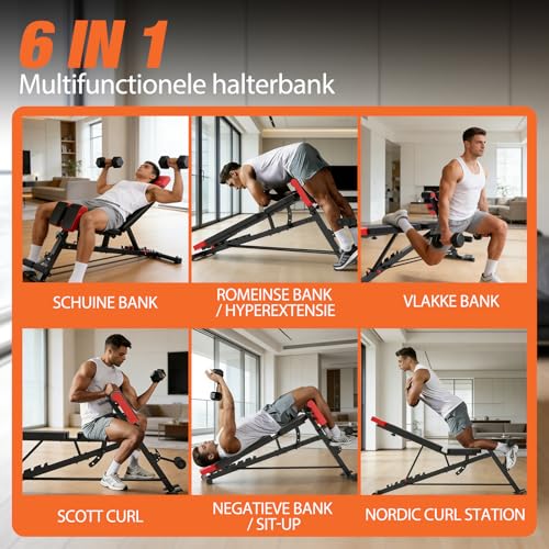 DH FitLife 2026 Premium 6-in-1 Verstelbare Halterbank met Hyperextension Rugtrainer 350 kg | Multifunctionele Trainingsbank voor Thuis & Home Gym | Schuine bank voor bankdrukken & full-body training - Afbeelding 3