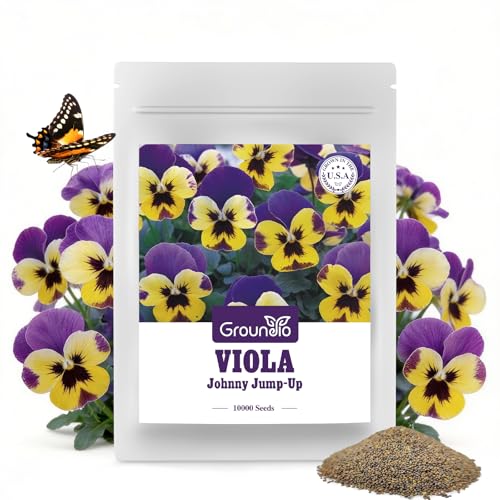 Groundio Johnny Jump Up Seeds 10000+ Perennial Wild Violet Seeds for Planting Edible Flowers Non-GMO Heirloom Attracts Pollinators Grown in the USA