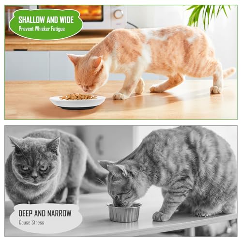 Ceramic Cat Bowl, Set of 3, Cat Bowl Set, Bowl with Non-Slip Rubber Base, Relieves Whisker Fatigue, Feeding Bowl for Cats and Small Animals, Cat Accessories for Pets - Image 6