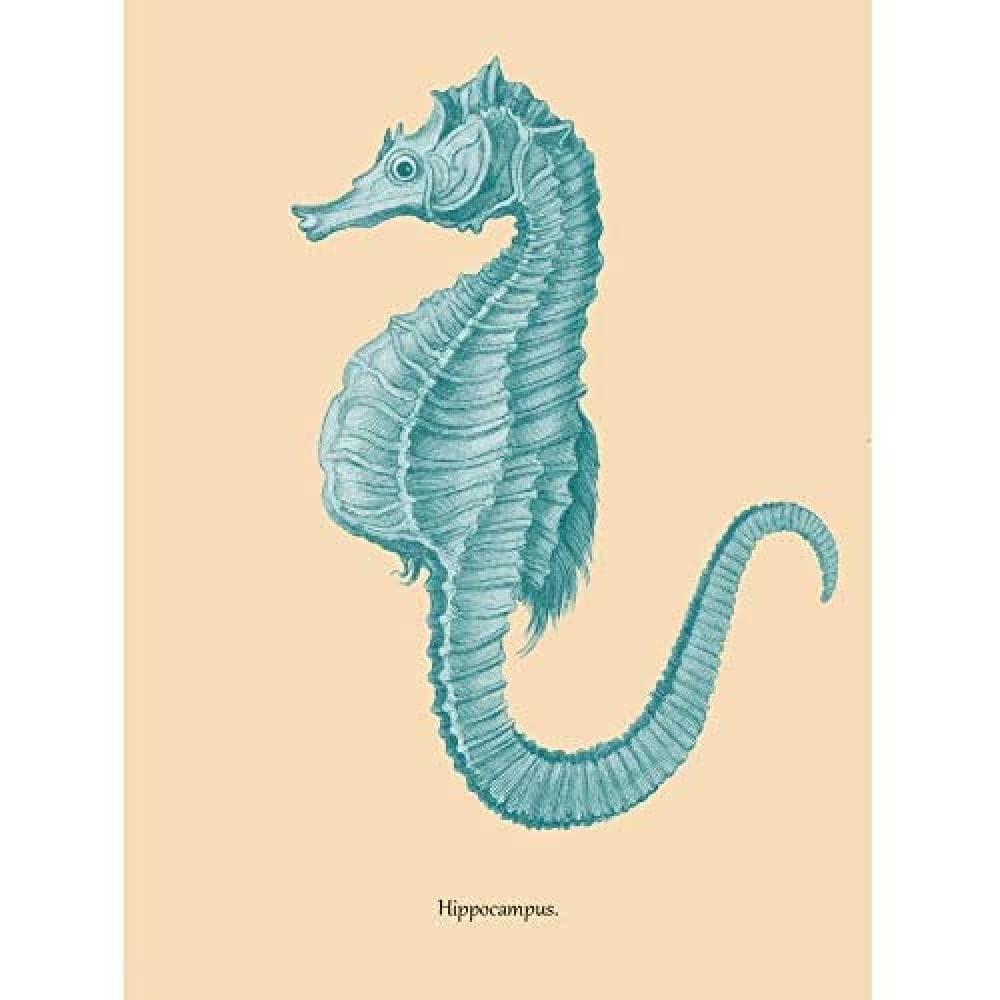 Wee Blue Coo Sea Horse Hippocampus Blue Unframed Art Print Poster Wall Decor 12X16 Inch