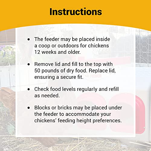 OverEZ-Chicken-Feeder-Holds-50-Pounds-of-Feed-Inside-or-Outside-Hen-Coop-Large-Gravity-Fed-Automatic-Poultry-Dispenser-No-Waste-Rainproof-Design