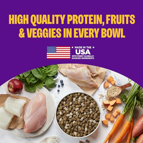Wellness Complete Health+ Adult Dry Dog Food with Freeze Dried Wellbites, Wholesome Grain Kibble+, Natural, Chicken and Oatmeal Recipe, 4 lb Bag - image 4