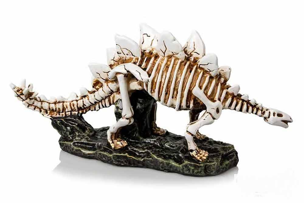 Biotope Aquatics Ltd Brown - Aquarium Ornaments, Fish Tank Polyresin Swim Through Decorations, Multiple Designs - Dinosaur, Skull, Boat, Ship, Tree Root, Wood, Cave (Dinosaur #722 (33Cm))
