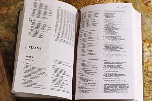 Image of Niv, Premium Gift Bible, Leathersoft, Brown, Red Letter Edition, Comfort Print