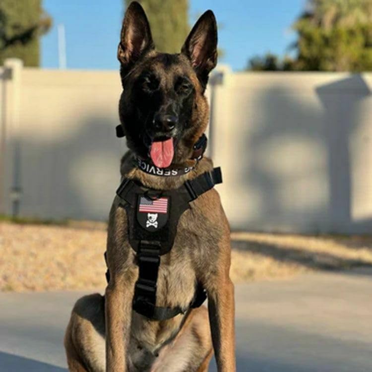 キロナイナーハーネス2023モデル M1 Light Speed Harness M1 Light Speed Harness – 買えるLEON