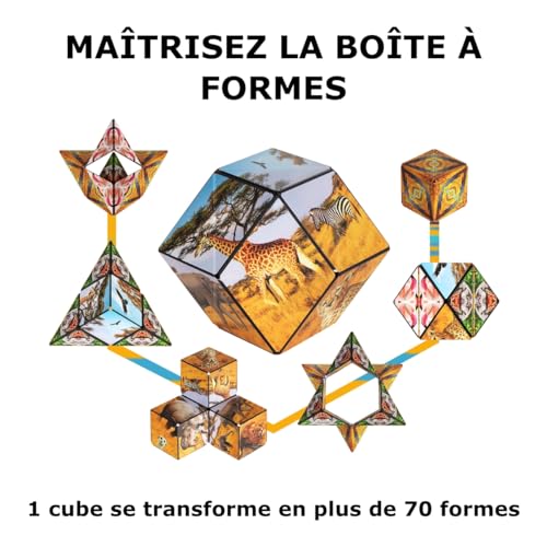 Shashibo Cube – Édition "Savannah"