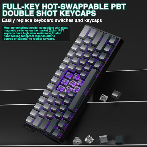 Image of Aula WIN60 HE - 60% Mechanical Gaming Keyboard Wired, Hall Effect Magnetic Switch Hot Swappable,8000 Hz Polling Rate, RGB Keyboard 60 Percent Compact Design for PC (Gradient Gray)