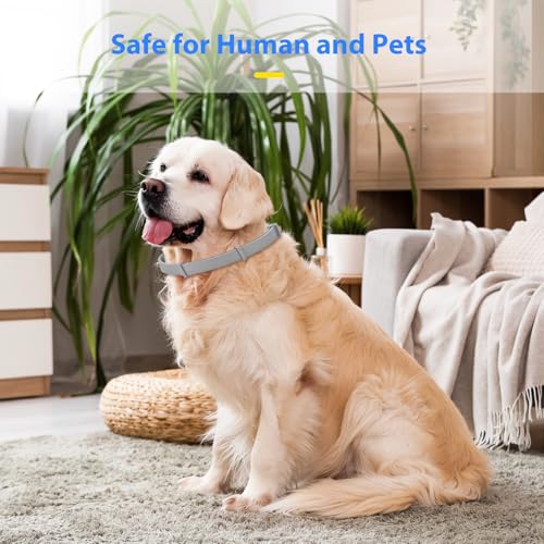 4 Pack Hunde Beruhigendes Halsband - Angstlinderung mit 60 Tagen für Hunde, verstellbarer Komfort für Stress, Trennung, Lärm & Tierarztbesuche, für Welpen bis ältere Hunde (grau)