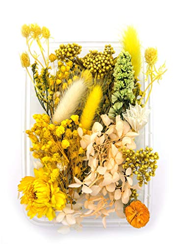 Kunstharz.Art Getrocknete Blumen für Harz Schmuck in Blau, Rosa, Lila, Pink und Grün (Gelb) Cover