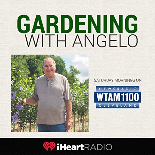 Page de couverture de Gardening With Angelo