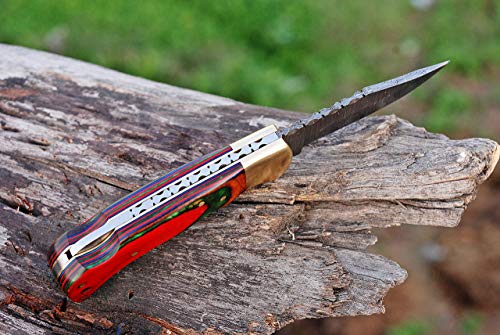 Handmade Damascus Steel Pocket Knife & Knife Sharpener - Damascus Folding Knife - Pocket Knife For Men, Edc Knife & Hunting Knife With Back Lock & Beautiful Pakka Wood Handle With Leather Knife Sheath #TOP2