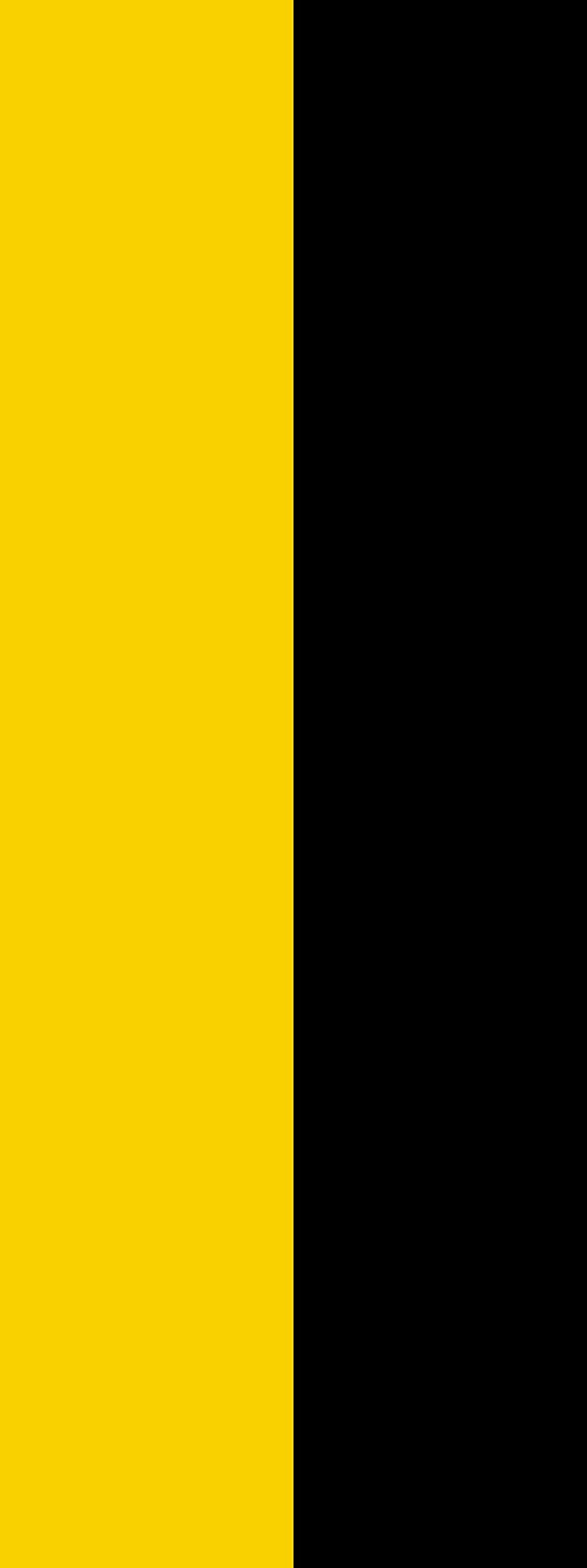 Drapeau Saxe-Anhalt grand format vertical 400x150cm pour mât de mairie