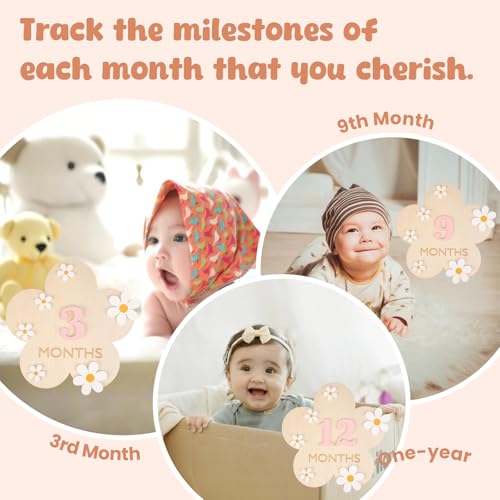 Image of Wooden Baby Announcement Sign & Baby Monthly Milestone Sign Set, Birth Announcement & 1-12 Months Interchangeable Discs for Newborn Girls Photo Props (Pink Numbers)