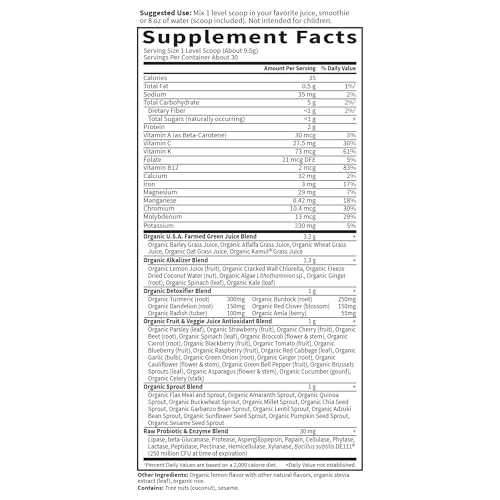 Garden of Life RAW Organic Perfect Food Alkalizer Detoxifier, 30 Servings - image 5